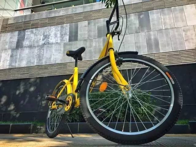 共享單車進校園 便利與挑戰并存